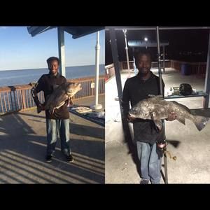 Meet your Posher, Calvin may